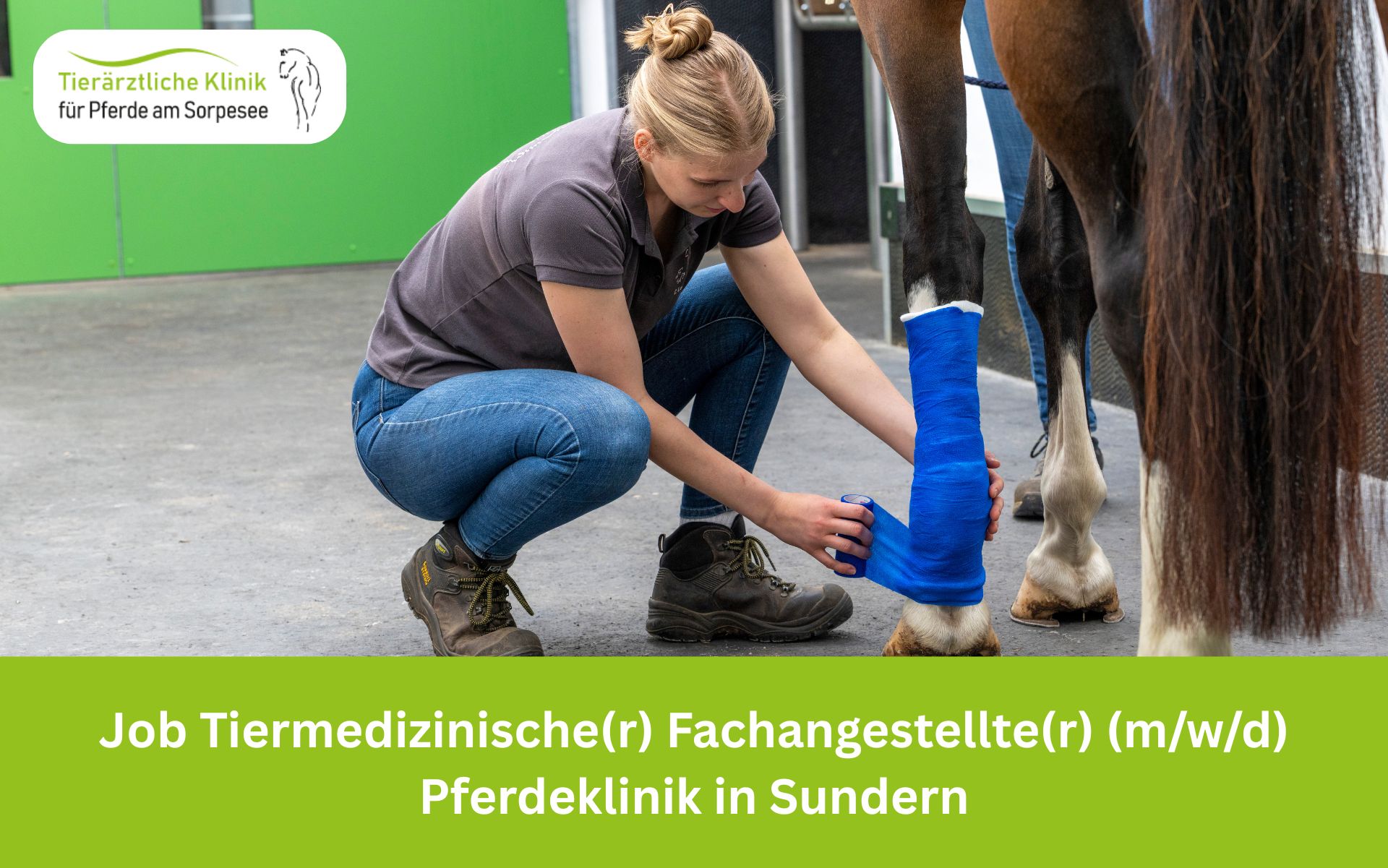 Job Tiermedizinischer Facheangestellter Pferdeklinik in Sundern