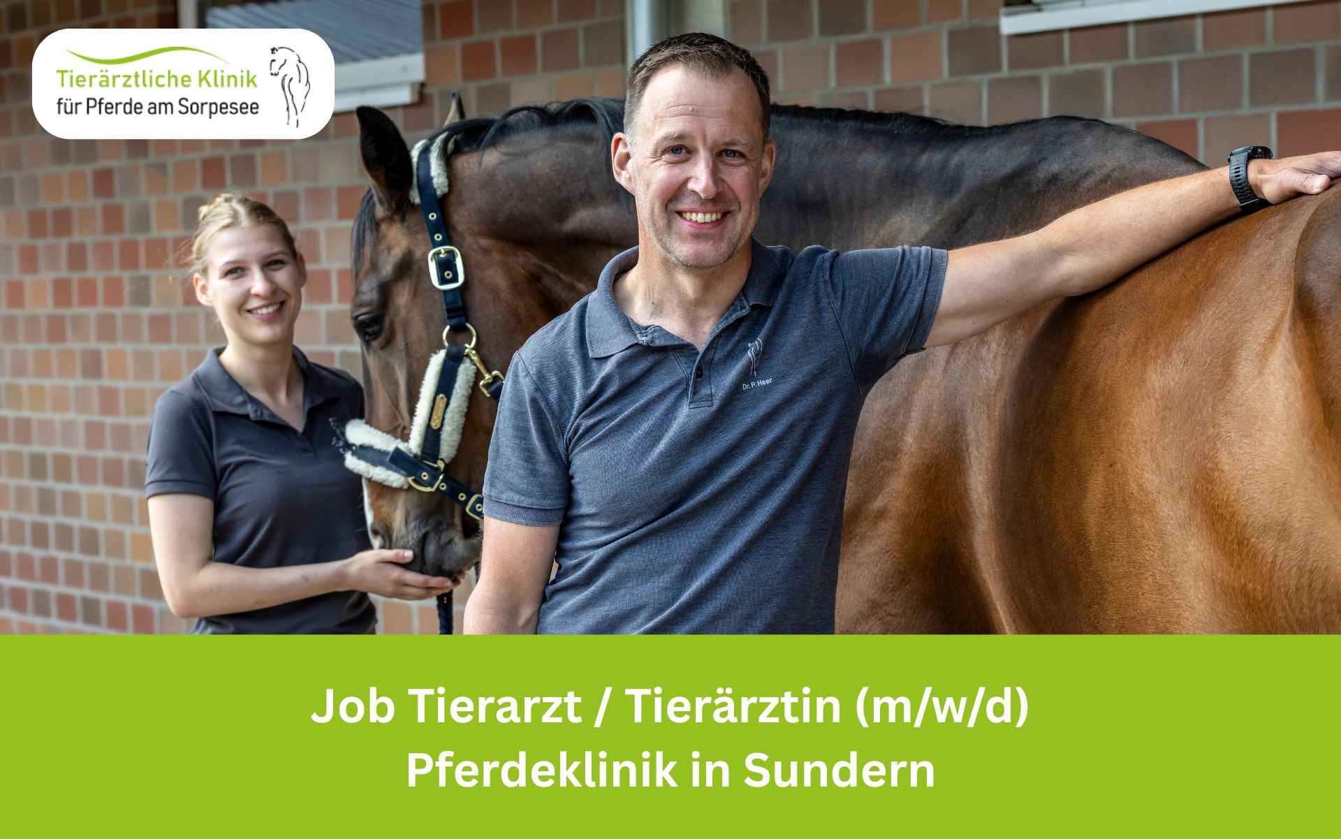 Job Tierärztin Pferdeklinik
