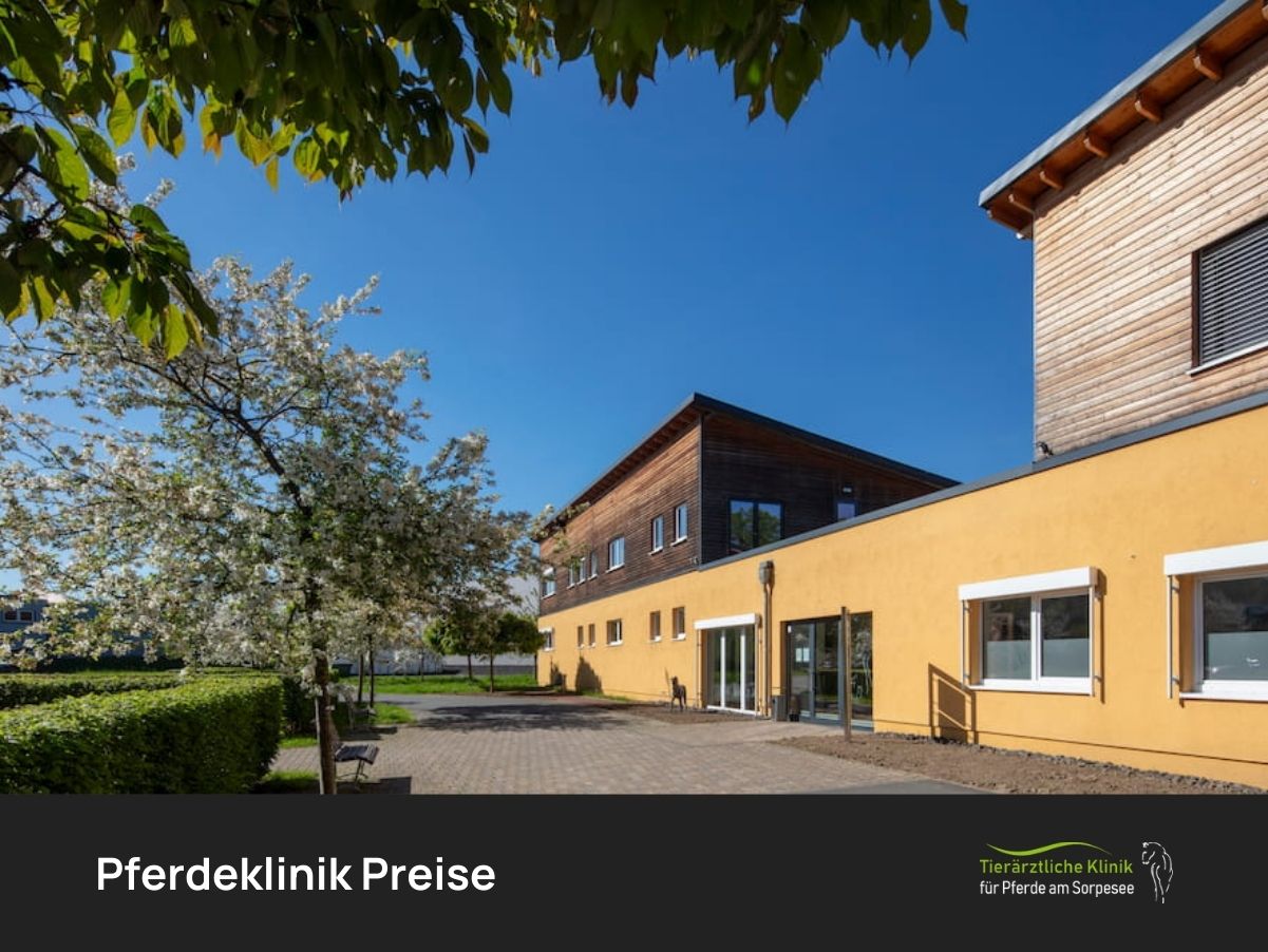 Pferdeklinik Preise
