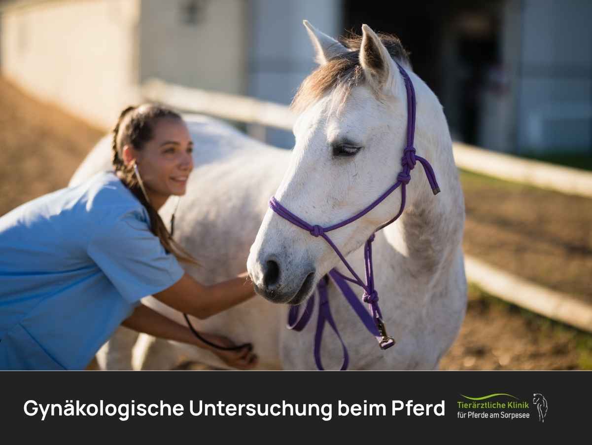 Gynokologische Untersuchung mit Ärztin